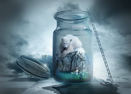 :-) - glass, jarr, iarna, blue, polar bear, winter, creative, fantasy