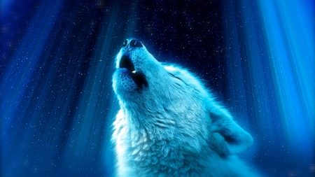 :-) - winter, blue, wolf, ikyuvalantvalentine, howl, lup, fantasy, white, animal, iarna, luminos