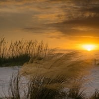 Goledn  Dunes Sun