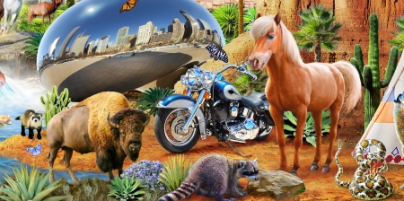 :-) - motorcycle, fantasy, animal, raccoon, adrian chesterman, horse, luminos