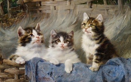 Three kittens