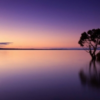 Calm ocean dusk