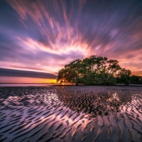 Sand Waves Along Nudgee Beach (Australia)