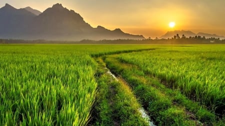 Endless Green Path - nature, hill, field, grass, road, path, sunrise