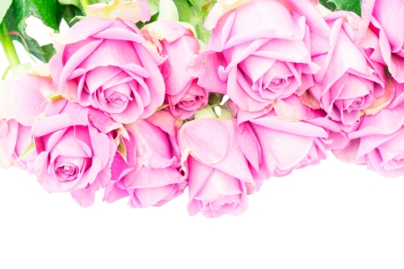 Roses - card, flower, pink, rose