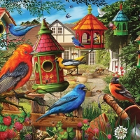 Bird House Garden