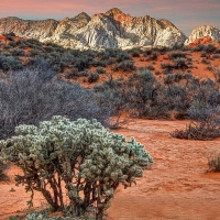 Snow in Canyon National Park, Utah