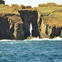 Endless Sea