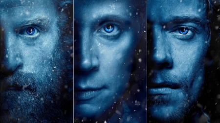 Game of Thrones (TV Series 2011– ) - game of thrones, poster, blue, Tormund Giantsbane, collage, Kristofer Hivju, man, Theon Greyjoy, face, Brienne of Tarth, Gwendoline Christie, actor, girl, actress, Alfie Allen, fantasy, woman