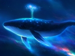 Whale