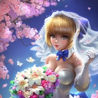 Saber Bride