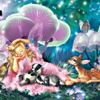 Fairy Nap