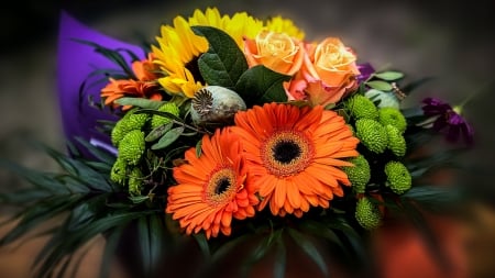 Beautiful Flowers - colors, flower, orange, beautiful