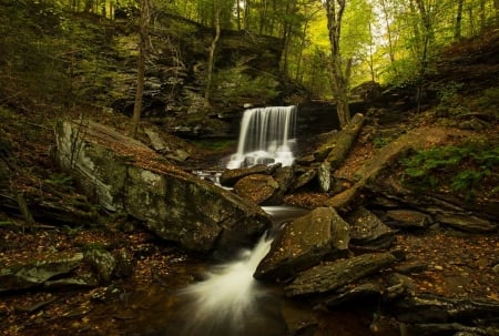 Waterfall - nature, green, tree, waterfall