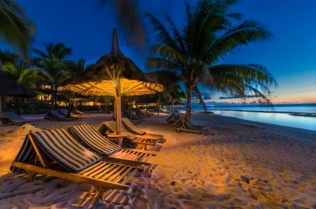 Tropical Beach - palm trees, beach, evening, sunbeds, island, loungers