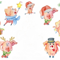 Happy Year of the Pig!