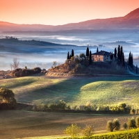 nature photo