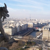 Notre Dame Gargoyle