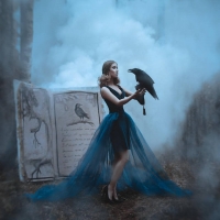 Beauty and the Raven