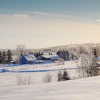 winter scene