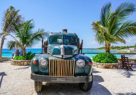 Old Truck - tropical, car, beach, palms, sea