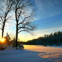 landscape winter