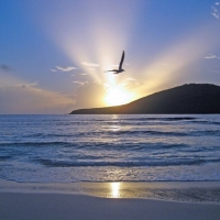 oceans nature