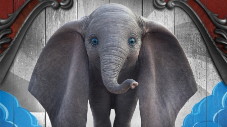 Dumbo (2019) - movie, eyes, dumbo, fantasy, poster, elephant, grey, blue, disney, cute