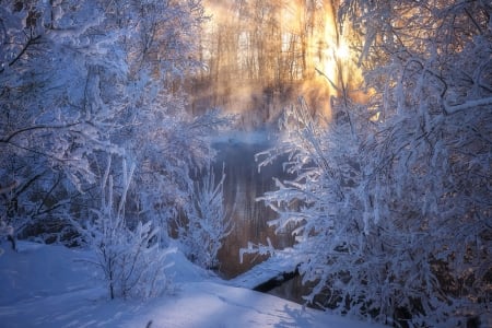 Winter - winter, ice, snow, iarna