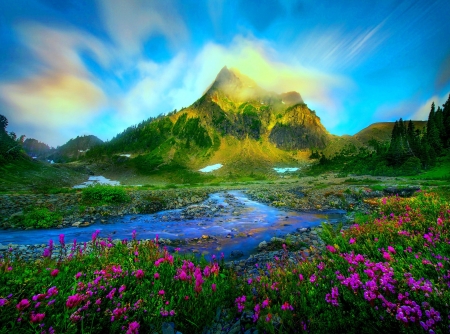 stream - flowers, HDR, stream, spring, mountain