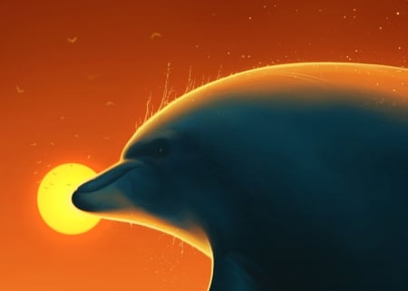 Sunset - summer, dolphin, orange, fantasy, sunset, picasso, ciorano, vara, luminos