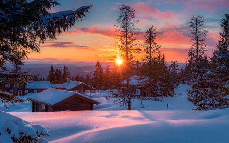 Winter landscape - houses, trees, snow, sun, sunset