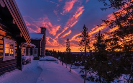 Winter landscape - Trees, Snow, Nature, Forest, Winter, House