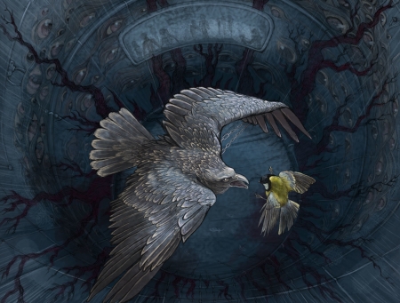 Experiment ~ Conflicts - pitigoi, wings, blue tit, conflicts, fantasy, hontor, bird, art, pasari, eagle, luminos