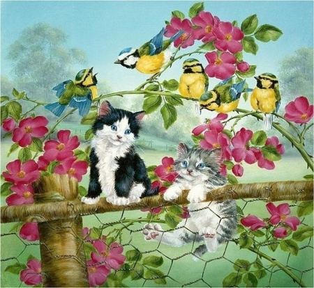 Kittens and Blue Tits - bird, yellow, blue tit, flower, pink, cat, pasari, pitigoi, pisici, art, luminos