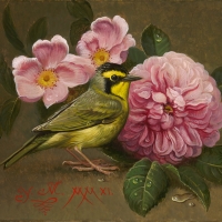 Flowers and bird