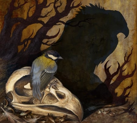 Long shadows - pitigoi, blue tit, bird, bones, long shadow, painting, skull, art