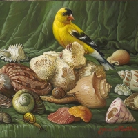 Shells with yellow bird