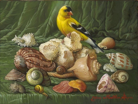 Shells with yellow bird - painting, pasari, art, yellow, shell, yana movchan, bird