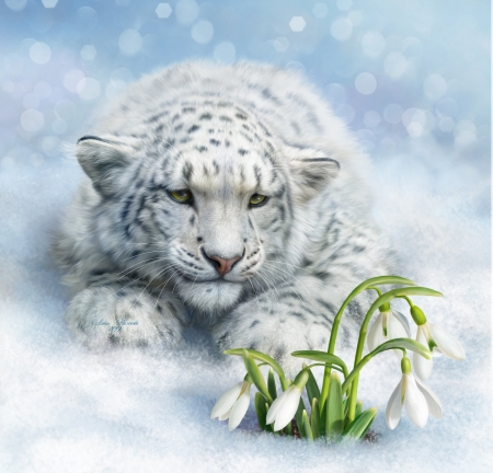 Waiting for spring - winter, spring, flower, frumusete, fantasy, primavara, white, snowdrop, animal, green, snow leopard, iarna, cute, alenaekaterinburg, luminos