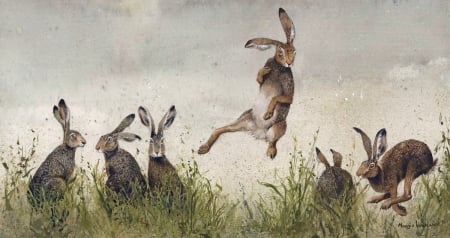 :) - rabbit, maggie vandewalk, jump, art, iepure, bunny