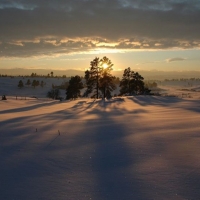 winter scene