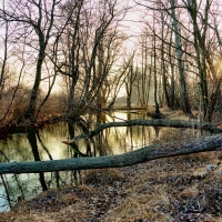 nature rivers