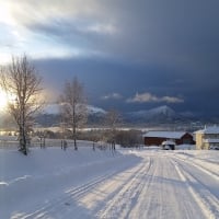 winter road