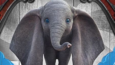 dumbo