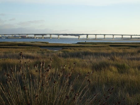 Bridge in construction Barra - Portugal - river, beach, ponte, barra, bridge, portugal