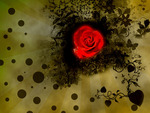 Abstract Rose wallpaper by Cocokiller.jpg