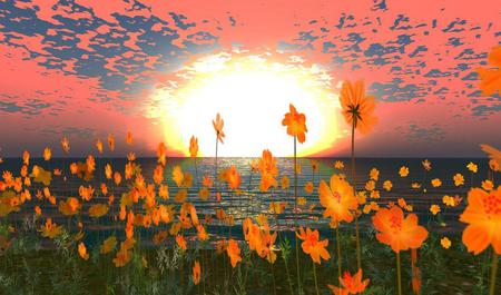 Flowers - sky, water, flowers, sun, abstract