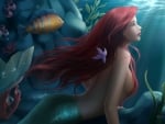 Ariel