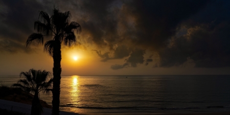 Sunset - black, sunset, water, summer, sea, vara, palm tree